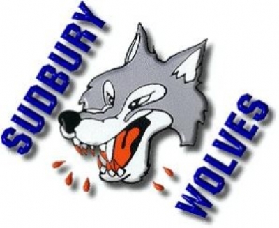 sudbury wolves ontario hockey league